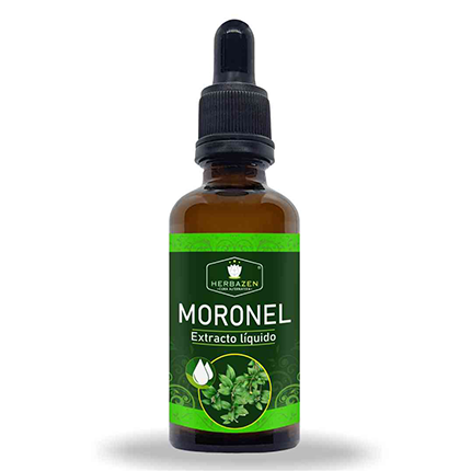 Moronel Planta Paquete Surtido