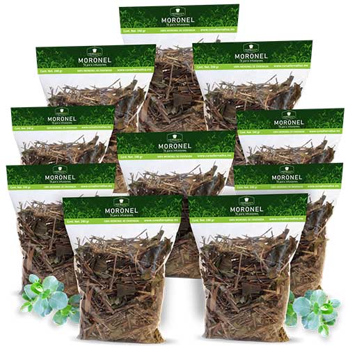 Moronel Hierba 10 Bolsas