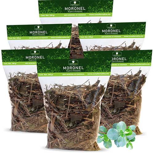Te de Moronel Hierba 6 bolsas