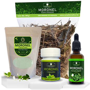 Moronel Planta Paquete Surtido