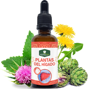 Plantas del Hígado Extracto