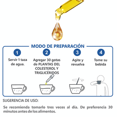 Plantas Para el Colesterol y Triglicéridos Extracto