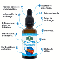 Plantas Para el Colesterol y Triglicéridos Extracto