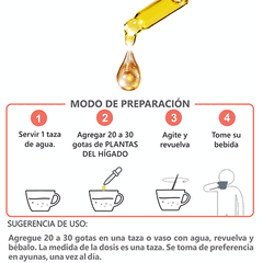 Plantas del Hígado Extracto